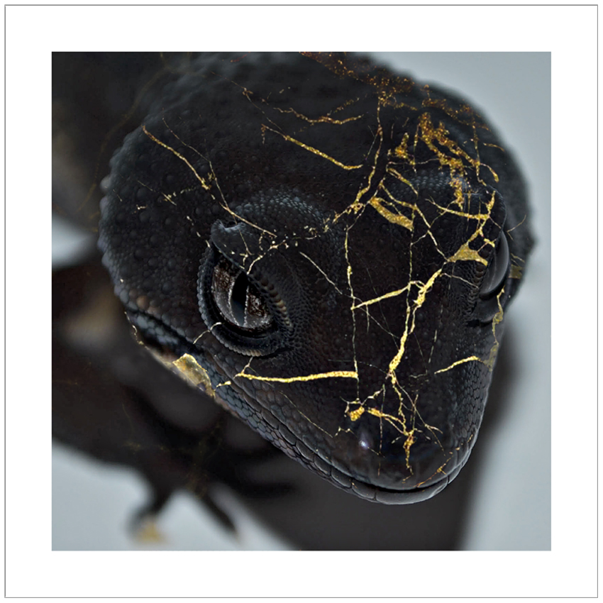 _Black Night_ Black Marble Edition 60x60